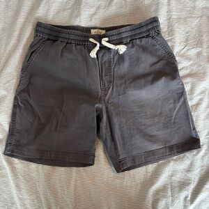 Marine Layer Shorts